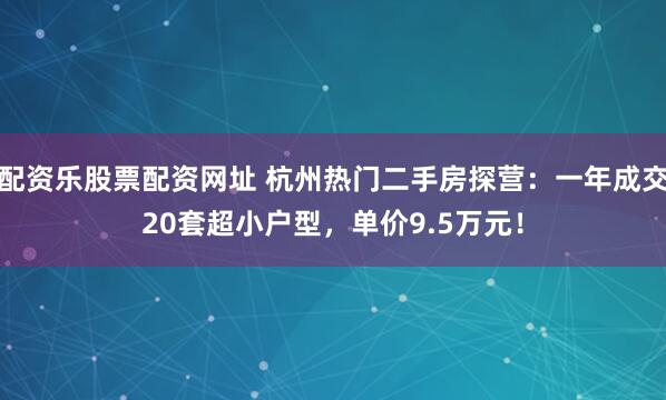 配资乐股票配资网址 杭州热门二手房探营：一年成交20套超小户型，单价9.5万元！