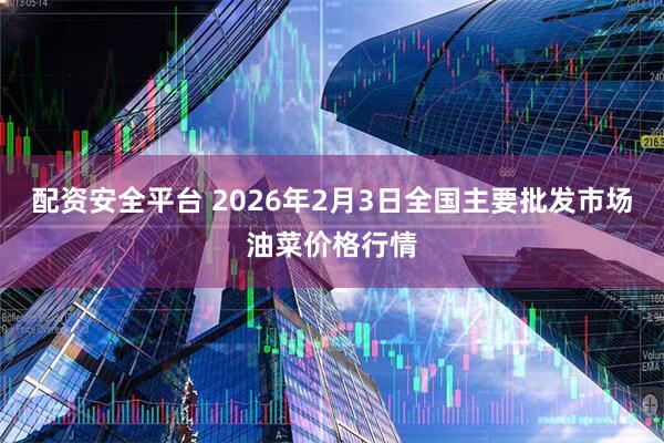 配资安全平台 2026年2月3日全国主要批发市场油菜价格行情